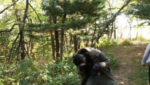 ch108.mp4.0006